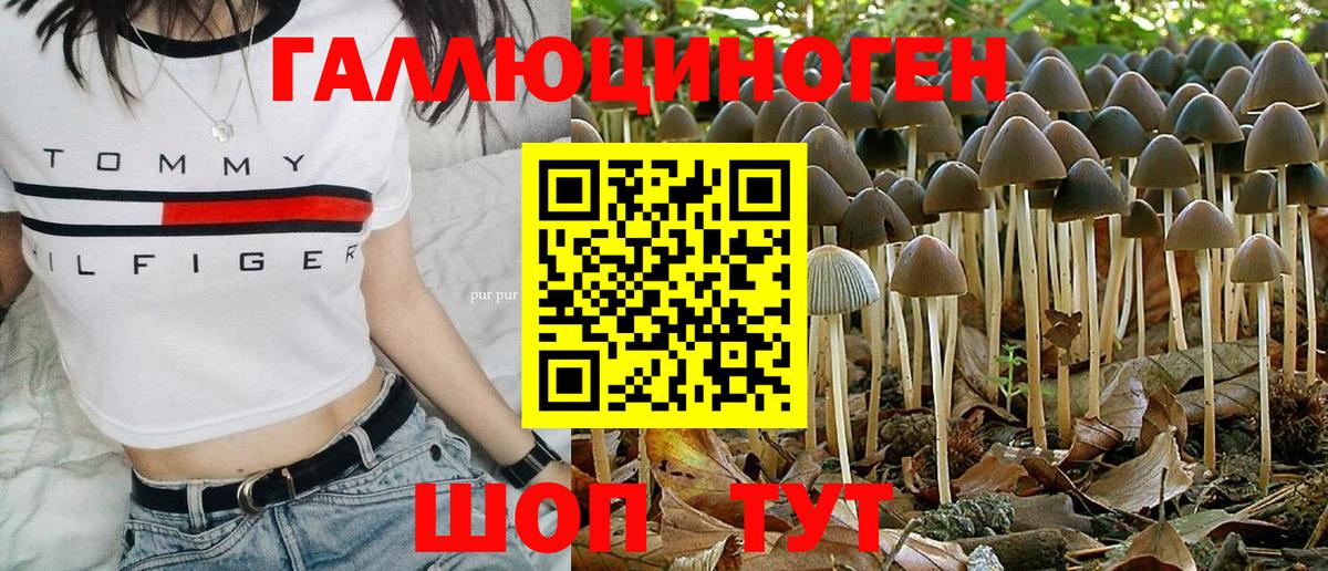 Коркино  Псилоцибиновые грибы MAGIC MUSHROOMS  купить наркотик  Вход с VPN 