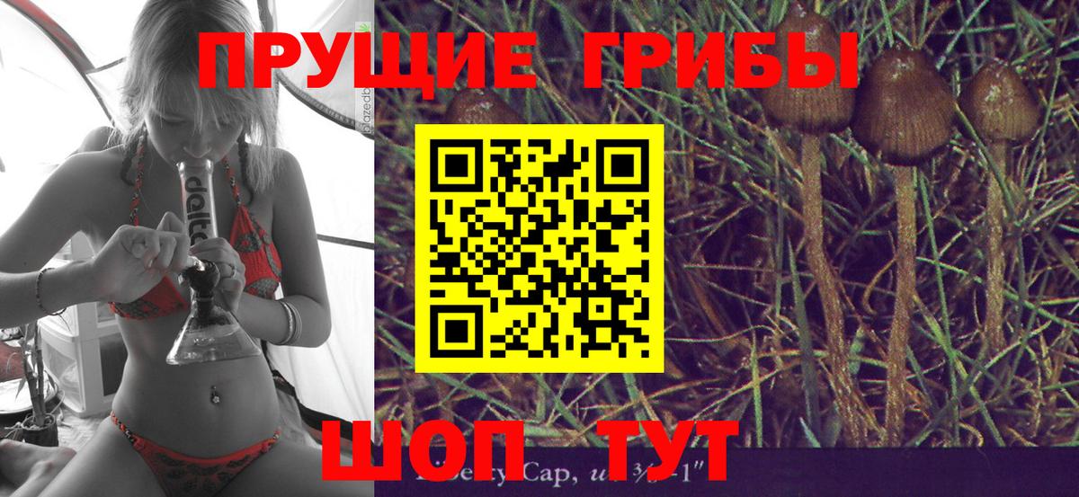 Псилоцибиновые грибы GOLDEN TEACHER Коркино